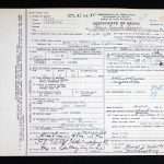 Mary Catherine Howard Welsh, widow of Michael Welsh, Death Certificate